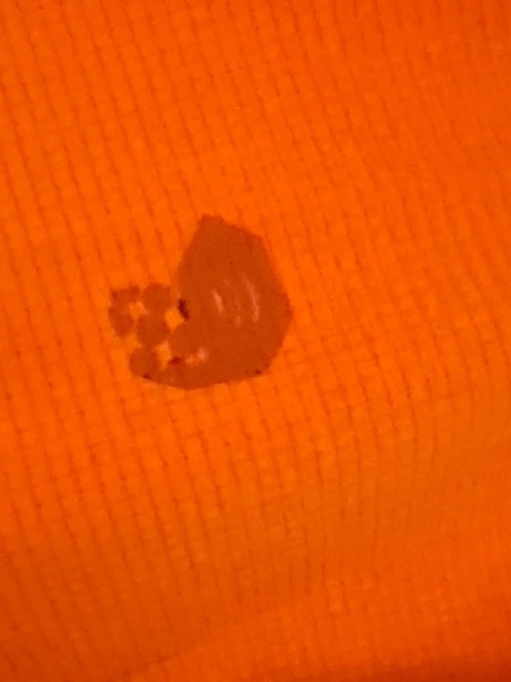 Mountain Hardwear Men’s Medium Orange Breathable Performance T-Shirt